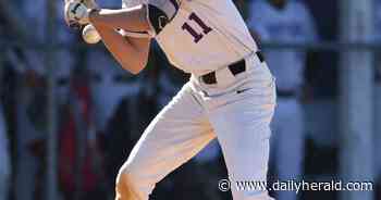 Baseball: Spenk's double lifts Hampshire past DeKalb into regional final