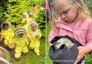 Evergreen Forest Nursery hosts open day amid council dispute