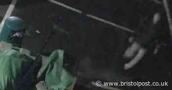 Chilling moment man kills family cat in school car park caught on camera