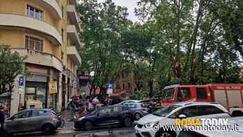 LETTORI - L'albero crollato nel Quartiere africano