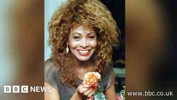 Tina Turner 'giggled when given Gateshead roses with her name'