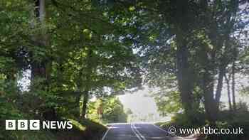 Motorcyclist killed in Langrish collision with lorry