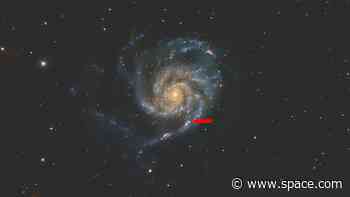 The brightest supernova in years could help astronomers forecast future star explosions