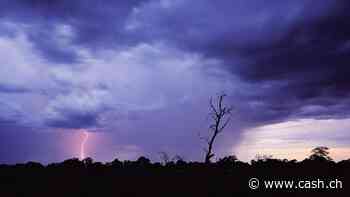 Dünne Umsätze und Kursexzesse bei Aktien: US-Bank zeigt sich besorgt