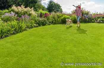 Säen, Düngen, Mähen: Der Weg zum perfekten Rasen