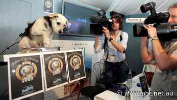 'An incredible experience': Forty years of Cannes film festivals through one man's camera lens