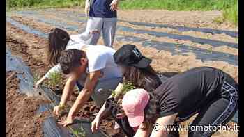 L'istituto agrario che accompagna nel mondo del lavoro gli studenti con disabilità. Anche dopo il diploma