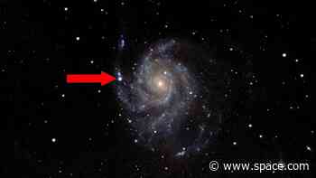 How to see the new supernova in the Pinwheel Galaxy