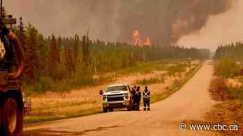 Why climate isn't a big issue on the Alberta campaign trail
