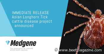 Medgene to combat cattle diseases spread by Asian longhorned tick