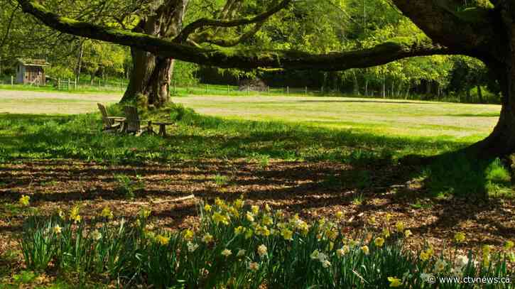 More Canadians are experiencing allergies due to climate change, experts say