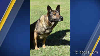 Longest-serving Wake County Sheriff's Office K9 killed in line of duty