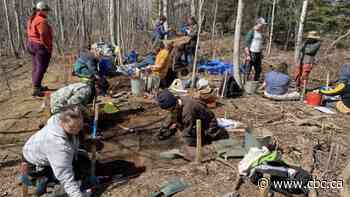 Archaeological sites are plentiful at Lakehead's Thunder Bay campus. Here's what students are finding