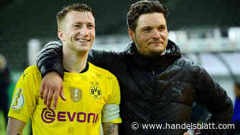 BVB-AKTIE: Steigt der Kurs weiter?