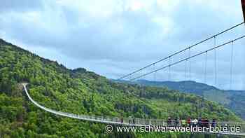 Blackforestline in Todtnau: Große Schwester der Bad Wildbader „Wildline“ wird eröffnet