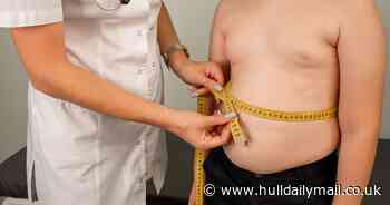 New Brit research shows there's no such thing as 'healthy fat'