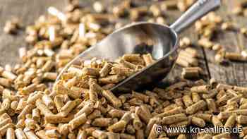 Klimagerechter Umbau des Waldes: Wohin mit dem vielen Holz?