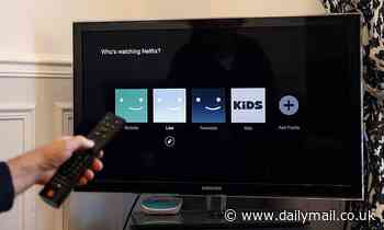 Three crafty ways YOU can get around Netflix's crackdown on password sharing