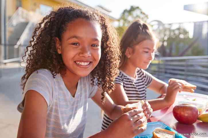 Bernalillo County 2023 summer lunch programs start soon