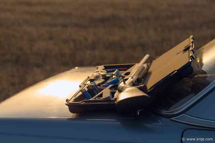 Bernalillo County Sheriff's Office hosts gun buyback, safe surrender event