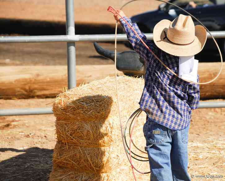 Application for the New Mexico State Fair Junior Rodeo is now open
