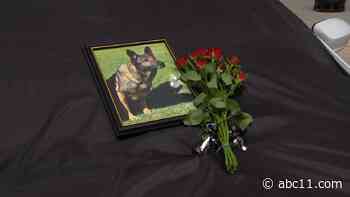 LIVE: Wake County Sheriff's Office speaks about K9 officer killed