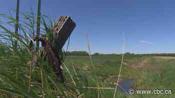 Male's body found in North Dakota field 18 metres from Manitoba-U.S. border