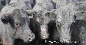 Beef on front foot with goal setting around sustainability