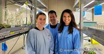 Researchers discover first herbicide game-changer in 40 years