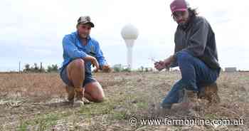 Starting from scratch: first-gen farmers working towards farm ownership dreams