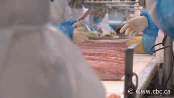 Olymel to close 6 hog barns in Western Canada cutting about 80 jobs