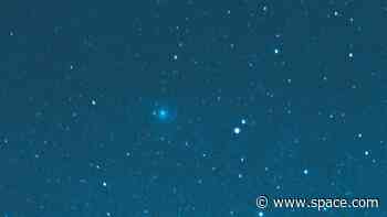 40 years ago, a comet came out of the blue in a surprise Earth flyby. Here's what we know now.