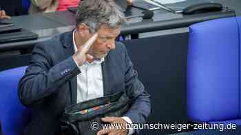 Heizung: Habeck will nachbessern – Wirtschaft erleichtert