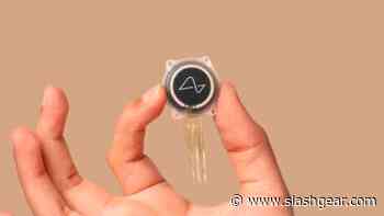 Not Every Scientist Is Thrilled Elon Musk's Neuralink Just Got Human Trial Approval