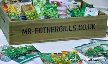 Mr Fothergill’s Seeds supercharges growth wooing world’s younger gardeners and veg fans