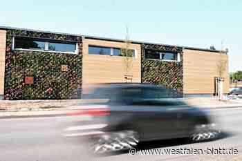 Höxters Bürgermeister sitzt an der Lidl-Kasse