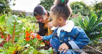 ADVERTORIAL: How to get your children involved in gardening this half-term