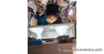 Inspiring a new generation of scientists: 12 thousand Saudi students collaborated with the astronauts in three scientific experiments