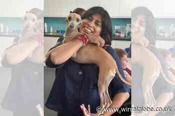 Mowgli's dog show for Claire House back next weekend