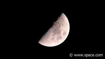 Watch the half moon of May shine by Leo the Lion in the night sky tonight