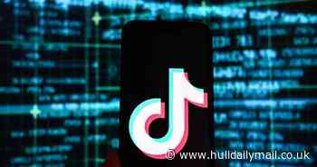 TikTok teen charged with breaching social media video banning order after 'prank'