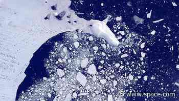 Antarctic currents supplying 40% of world's deep ocean with nutrients and oxygen slowing dramatically