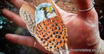 Whitley Bay artist creates incredible unique nature paintings on bird feathers