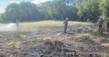 Alarming rise in BBQ and grass fire incidents prompts Bank Holiday warning