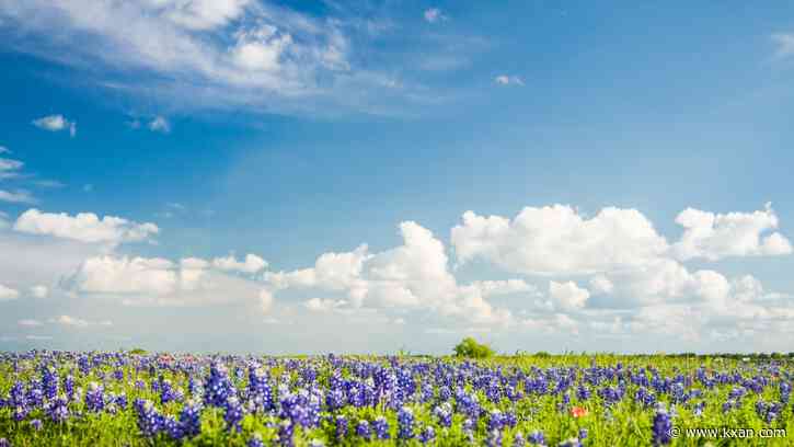 What's the hottest it's ever been in Texas?