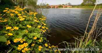 Police find body in search of teen who got into difficulty swimming with friends