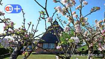 Brahmsee: Das Sommerfest-Programm  der Schoolkat Langwedel im Juni