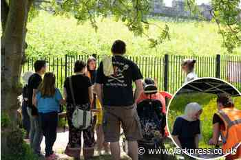 York: Open day reveals community archaeology at Walmgate