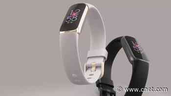 5 Best Fitbits for 2023: Top Fitness Trackers     - CNET