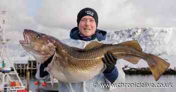 Newcastle United chef wins culinary trip of a lifetime to Norway